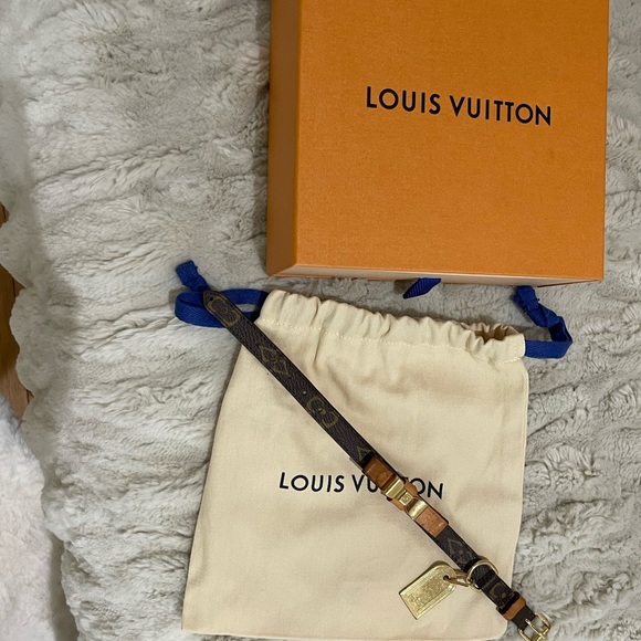 Louis Vuitton baxter dog collar xs/s used great condition 30 cm (11.811 inches) - Picture 2 of 7